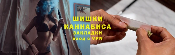дмт Протвино